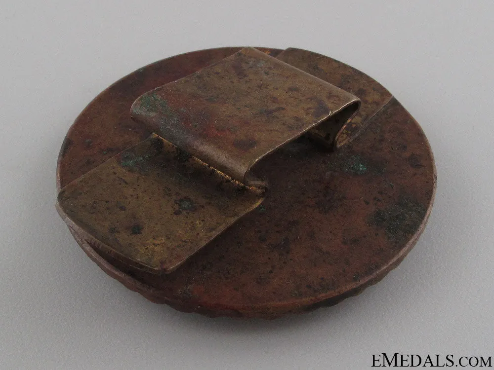 1906 Austrian Medic„¢¯S Badge