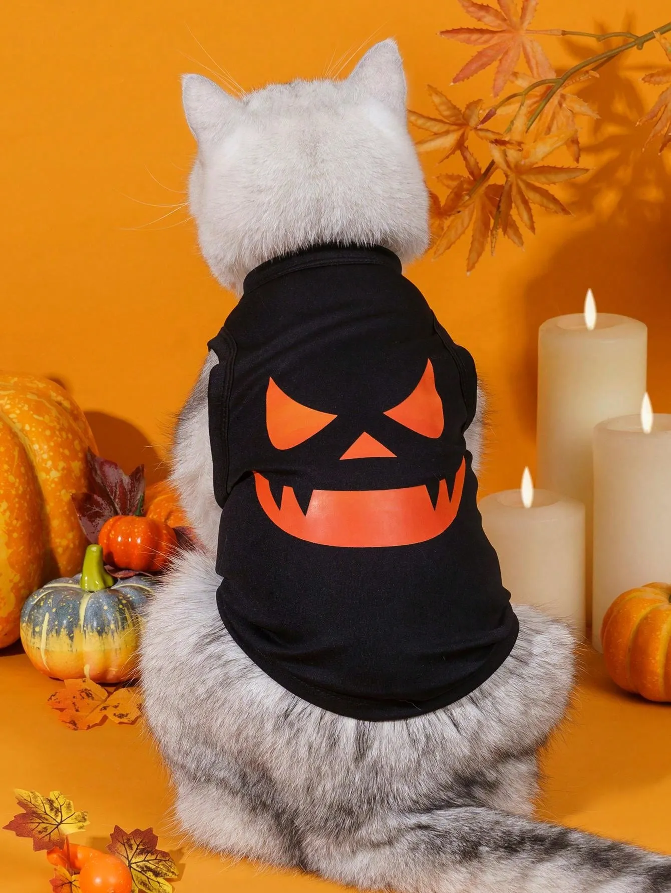 2pcs Halloween Pumpkin Print Anti-Flea, Reduce Shedding, Breathable Black Vest For Indoor/Outdoor Cat & Dog