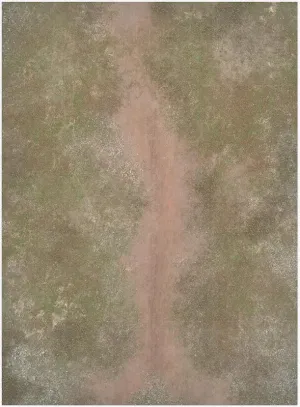 BATTLEGROUND (44"x60")
