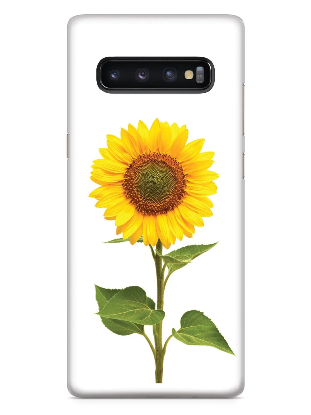 Beautiful Sunflower - White Case