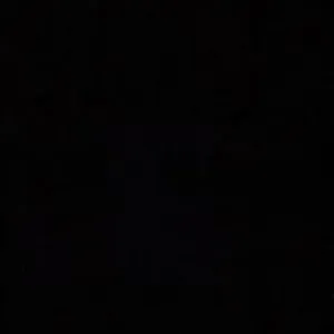 Black Felt