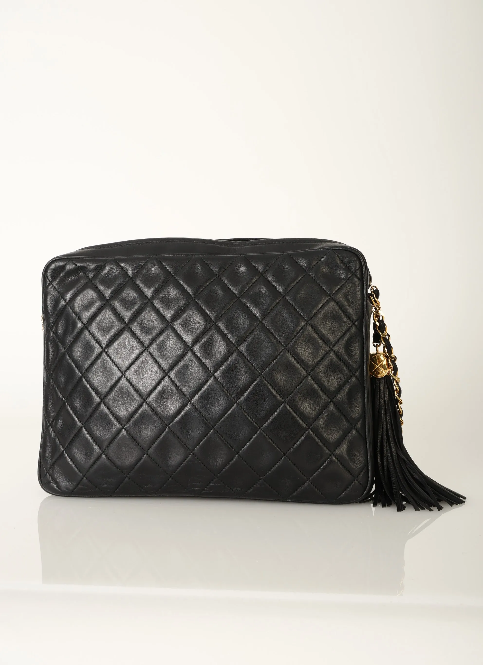 Chanel Lambskin Camera Bag