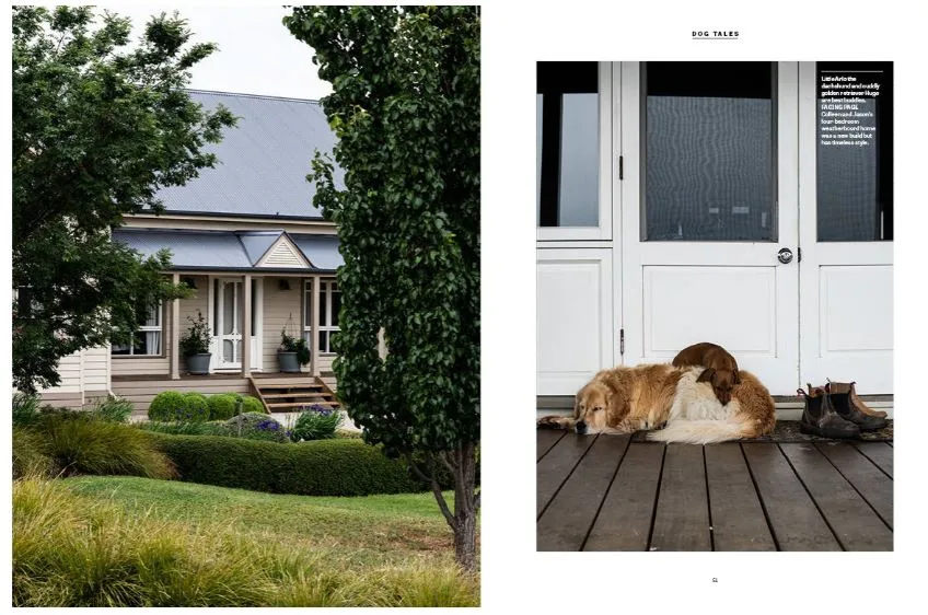 Country Style Dogs