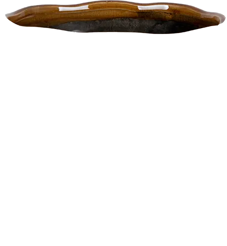Jordy (20cm)
