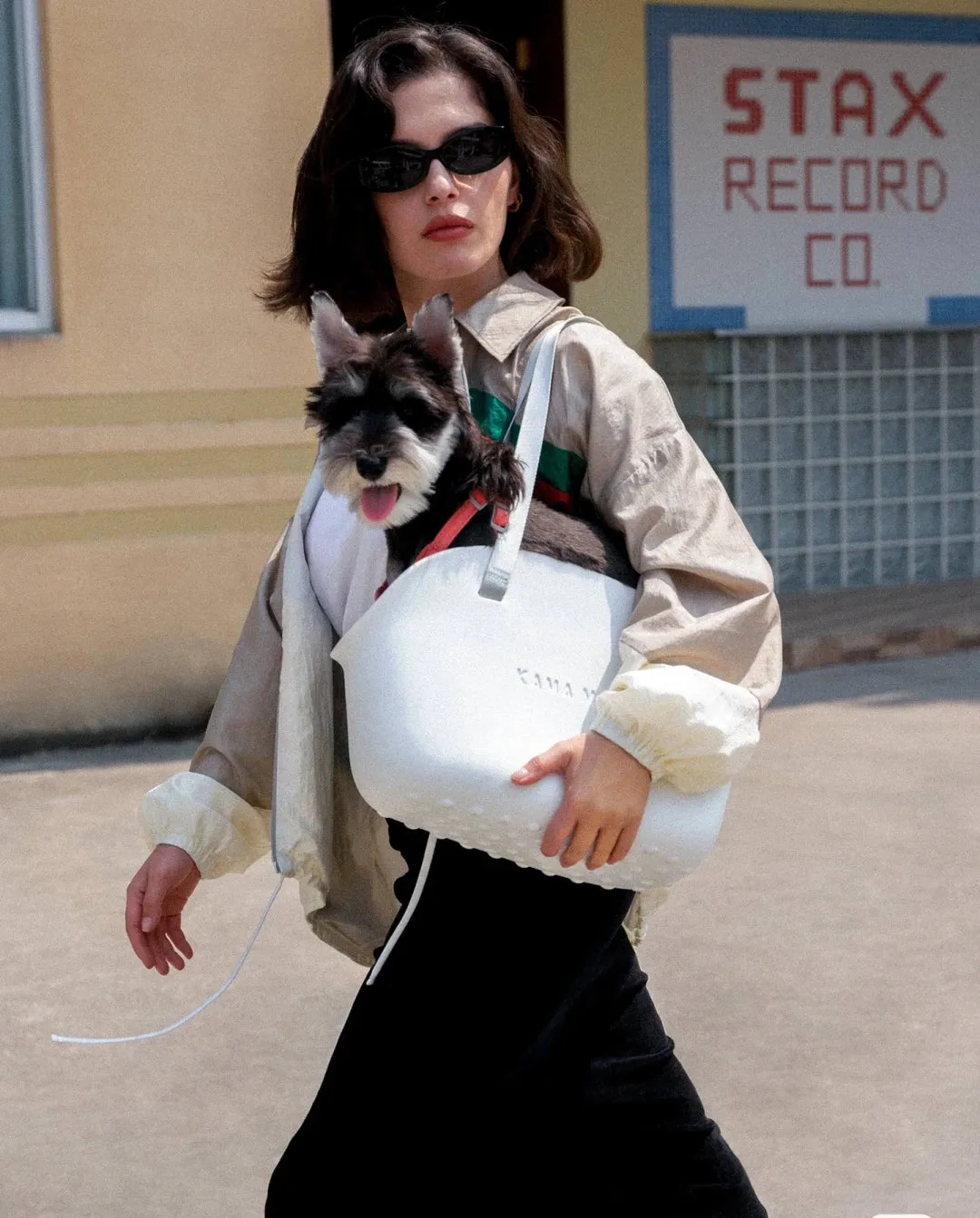 KAMA MUTA Pet‘s Travel Bag