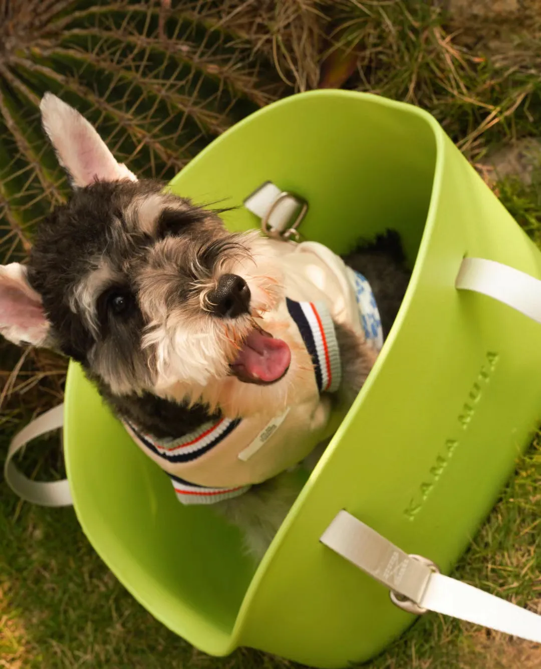 KAMA MUTA Pet‘s Travel Bag