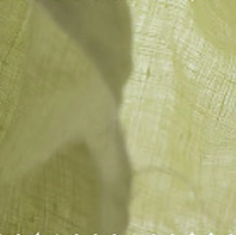 Luxurious 100% Pure Linen Curtains by FantasyLinen