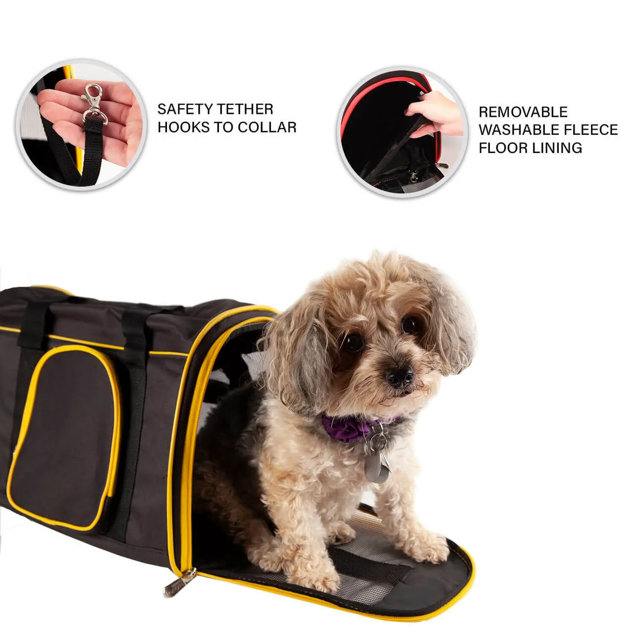 Miami Marlins 16" Premium Pet Carrier