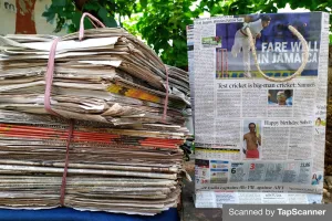 Newspaper Bags