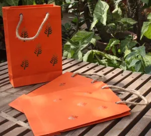 Paper Gift Bags Medium