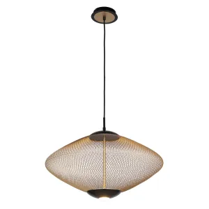 Park 22 in. 2 Lights LED Pendant Light Black finish