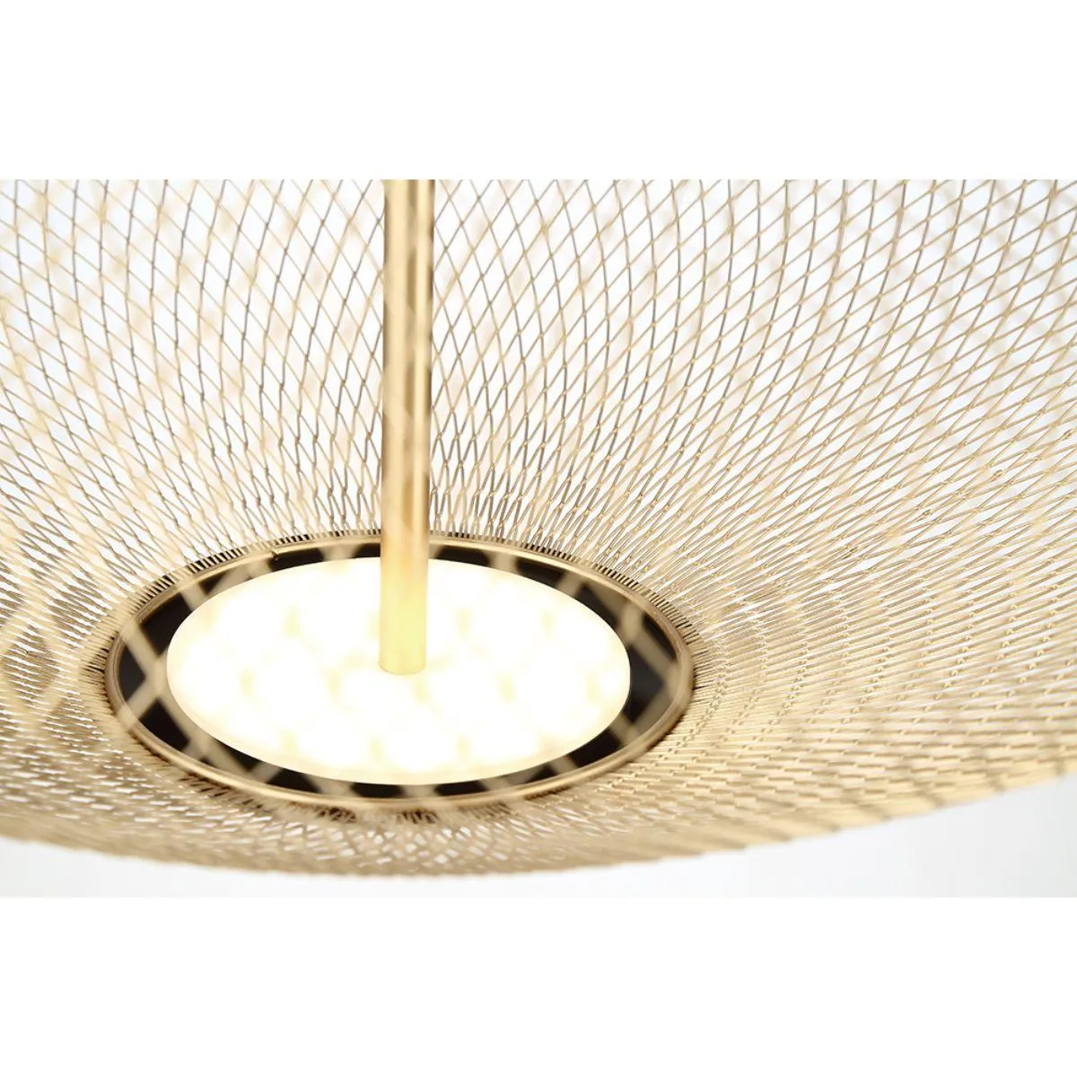 Park 22 in. 2 Lights LED Pendant Light Black finish