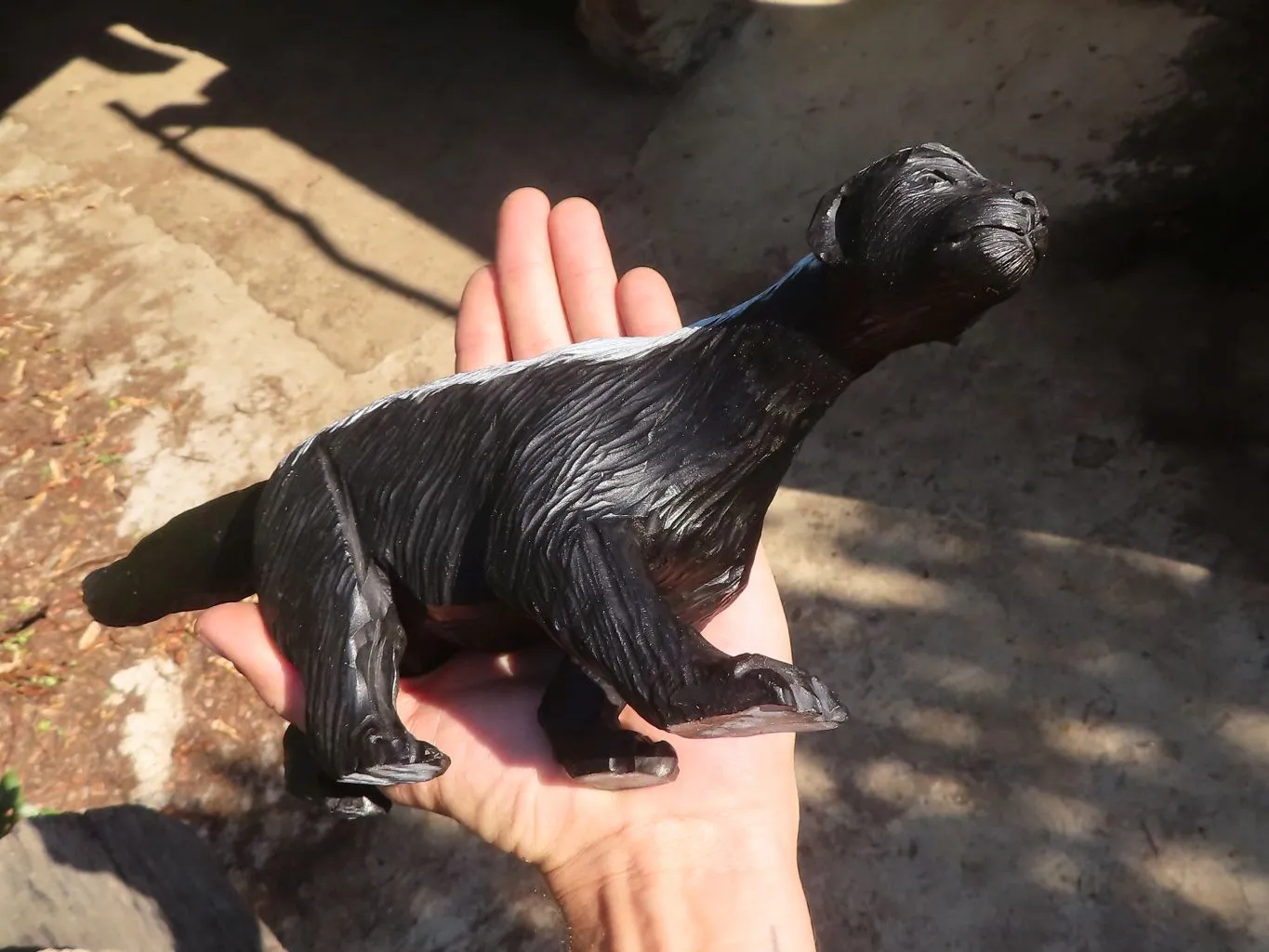 Polished  Large Black Soapstone Honey Badger Carving x 1 From Zimbabwe