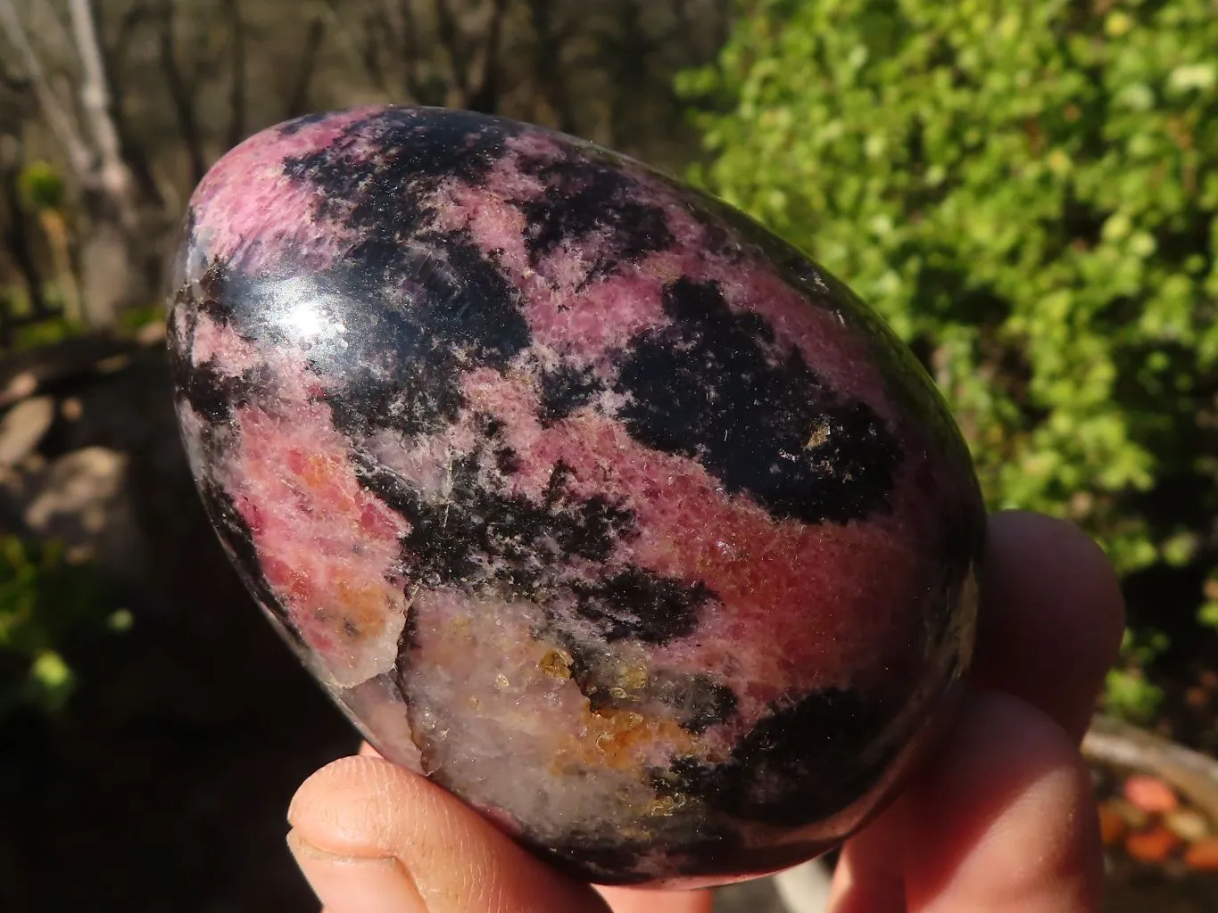 Polished Rhodonite Gemstone Eggs x 6 From Madagascar