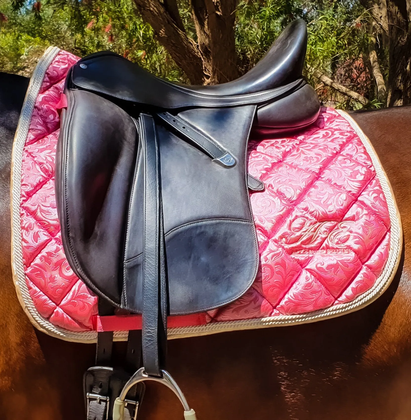 Saddle Pad Advanced Equine