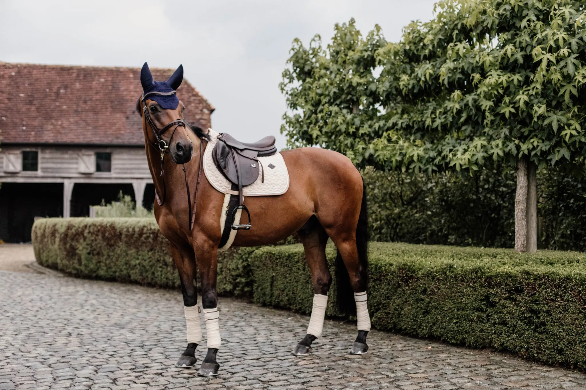 Saddle Pad Wool Jumping