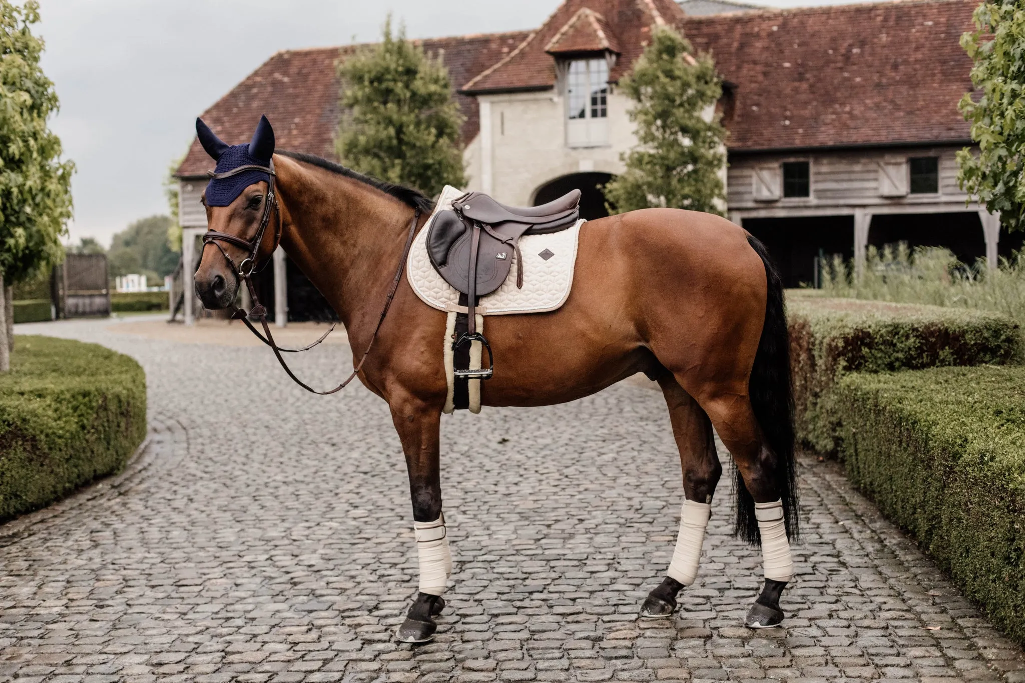 Saddle Pad Wool Jumping