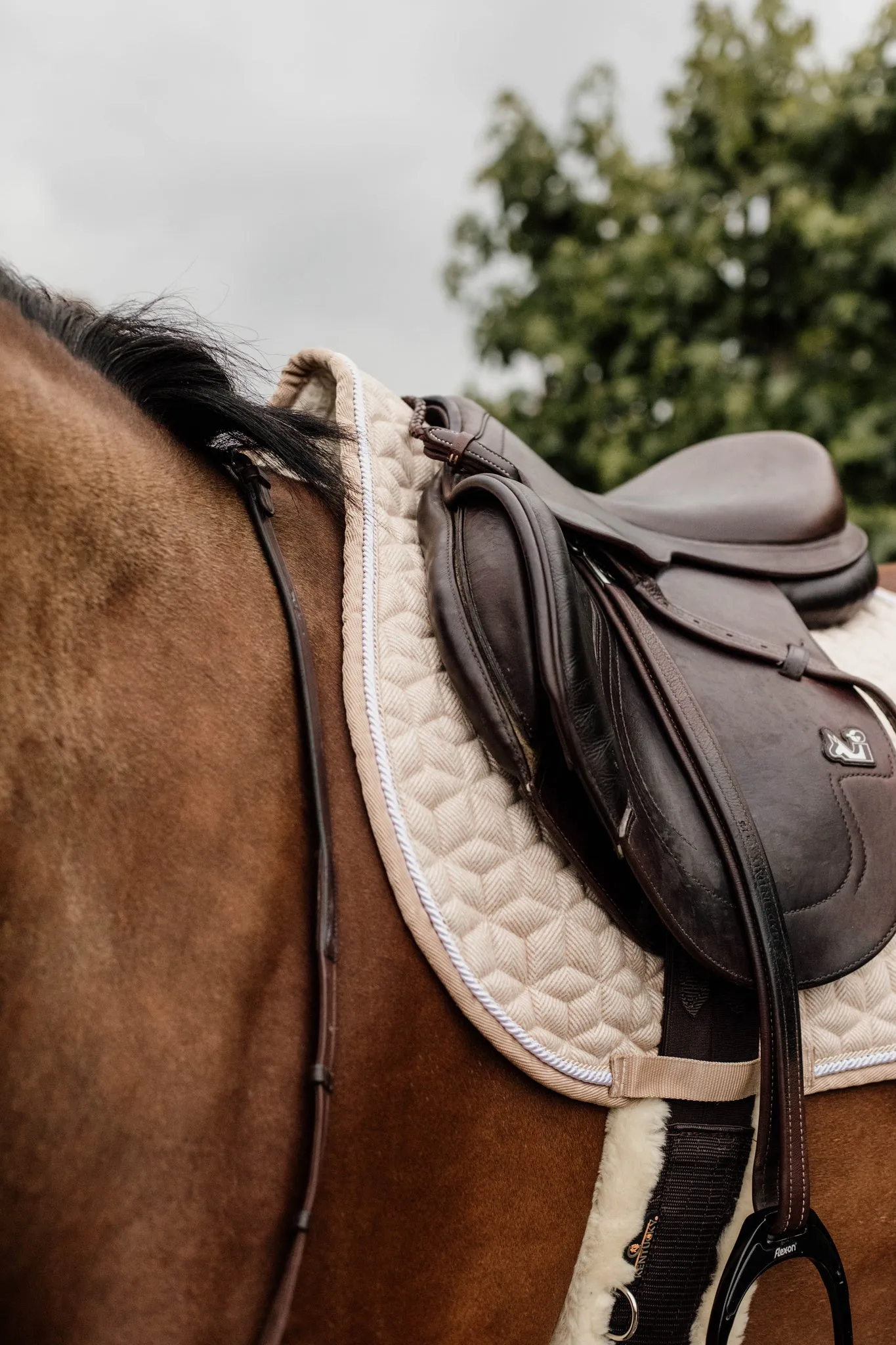 Saddle Pad Wool Jumping