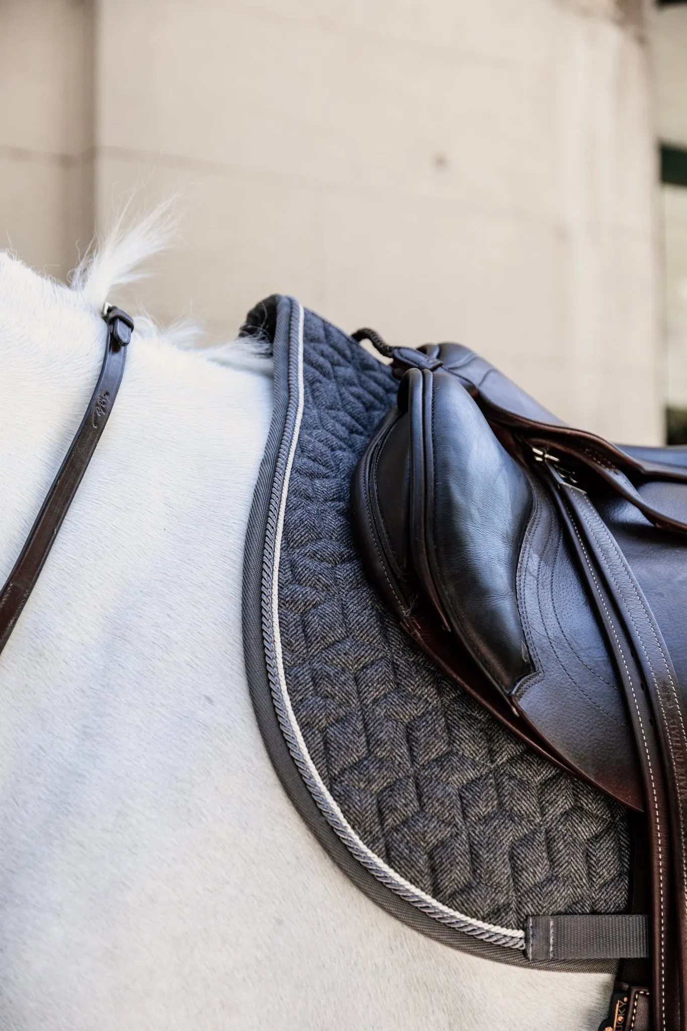 Saddle Pad Wool Jumping