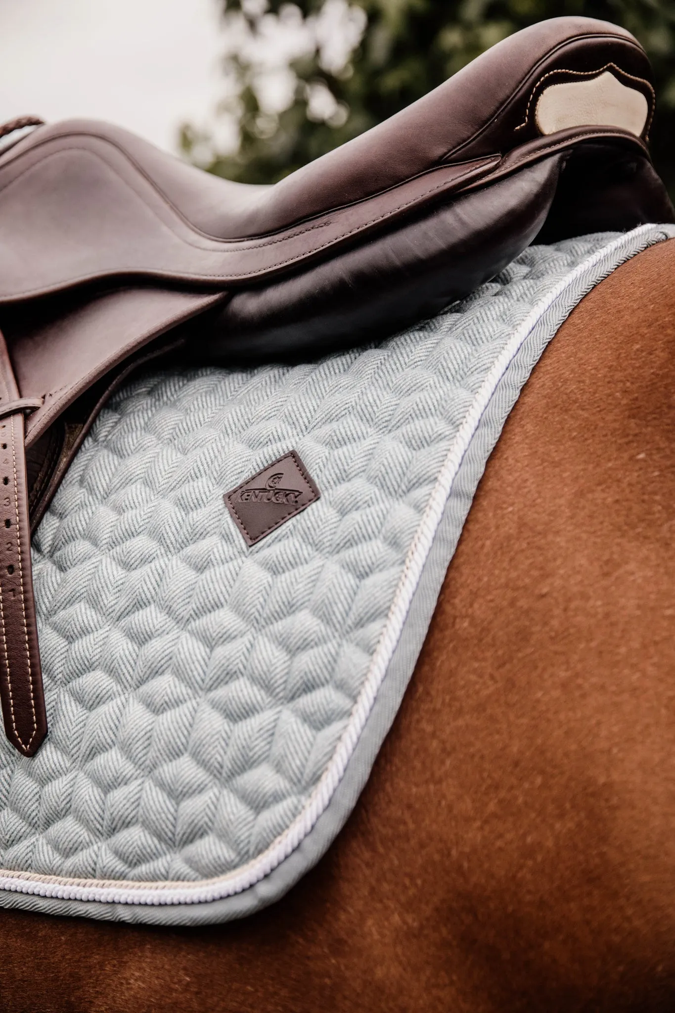 Saddle Pad Wool Jumping