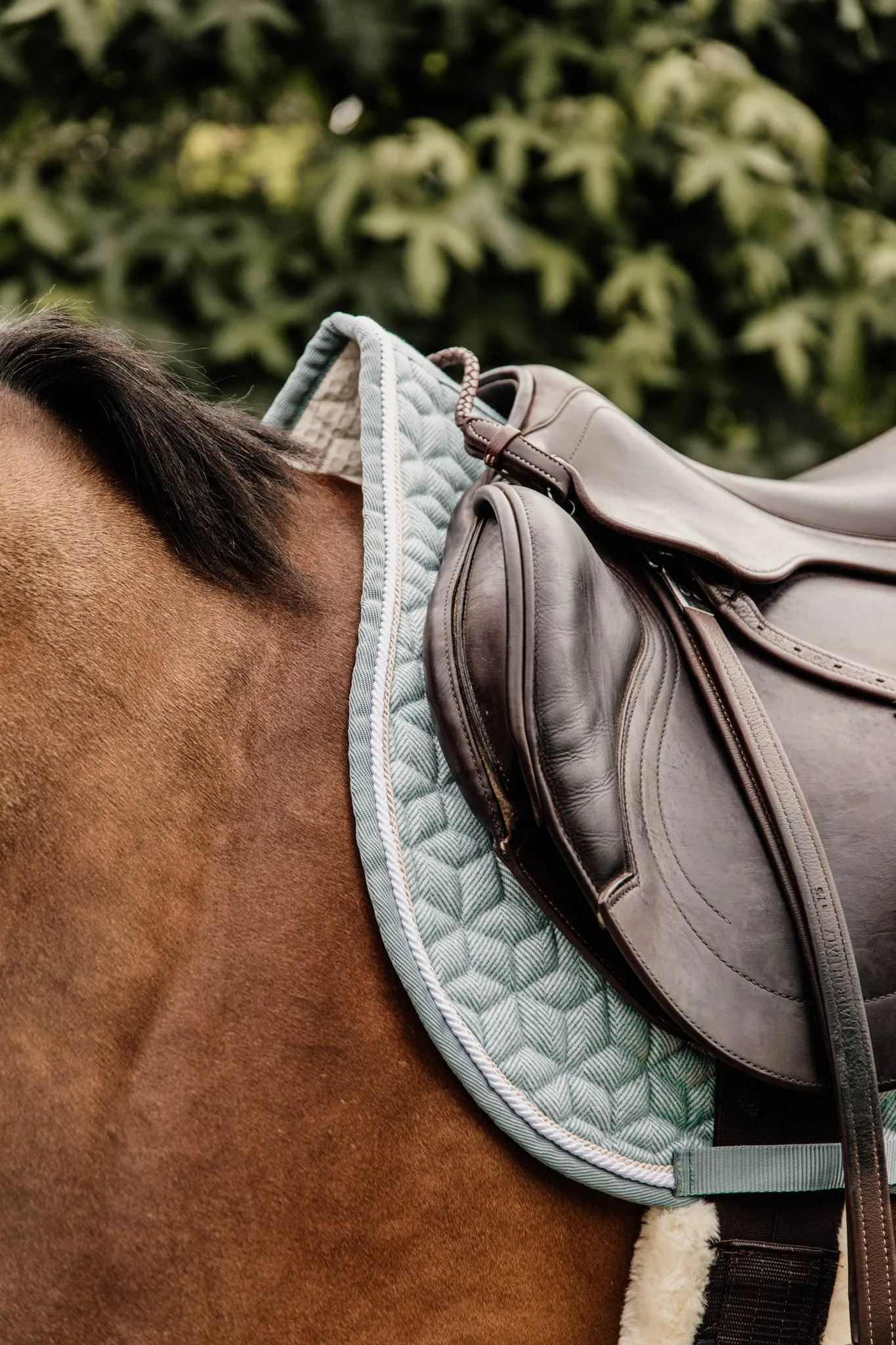 Saddle Pad Wool Jumping
