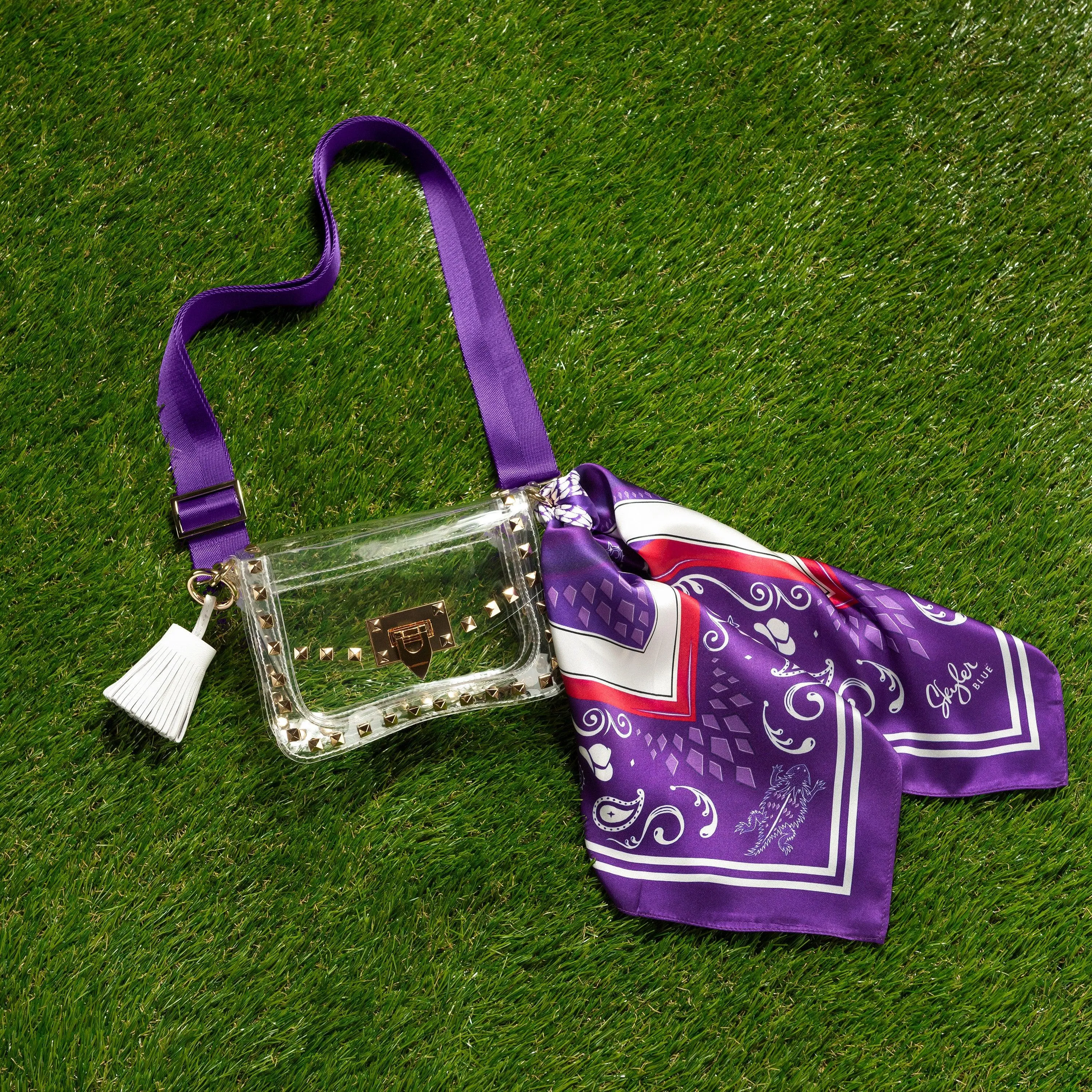 The Fort Worth Clear Small Studded Bag
