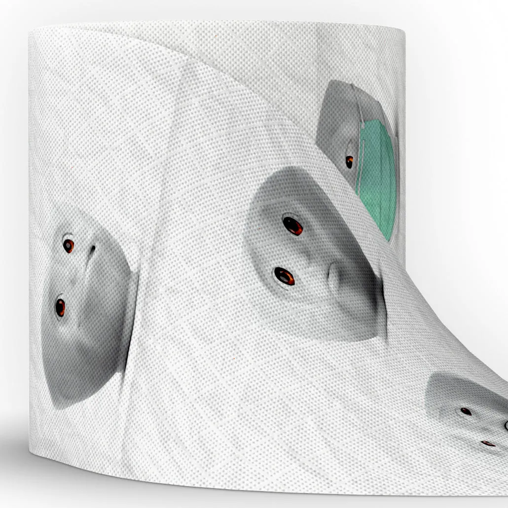 Toilet Paper Printed with Character Design (Single Roll)