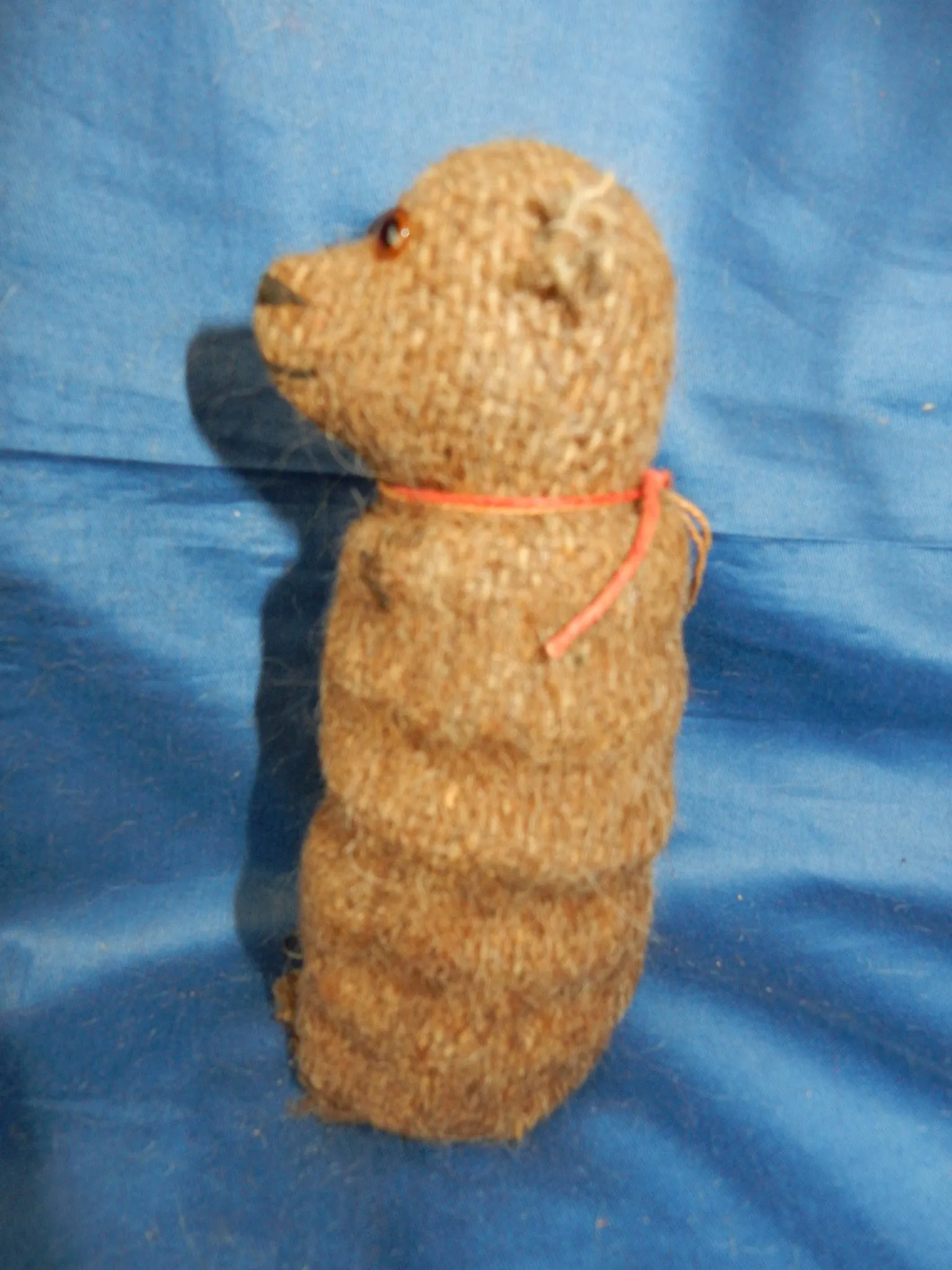 z(1914) Long Voile Halloween bear. Daniel Agnew