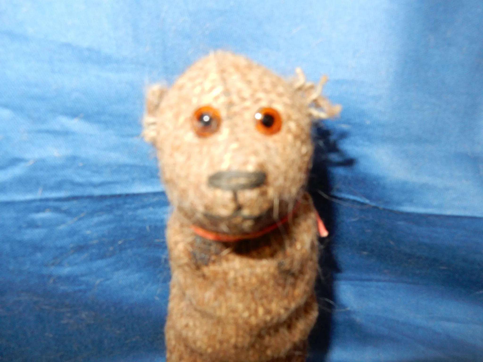 z(1914) Long Voile Halloween bear. Daniel Agnew