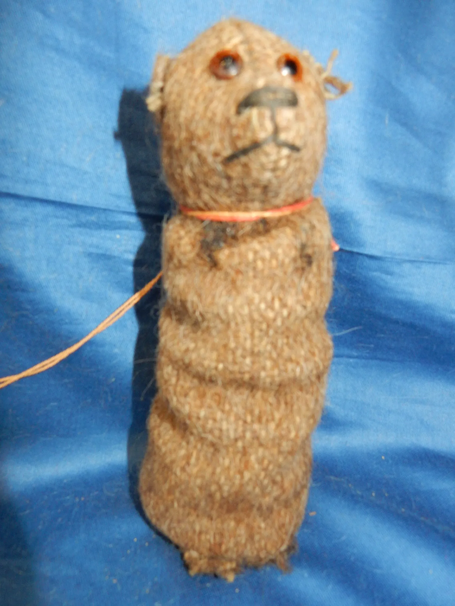 z(1914) Long Voile Halloween bear. Daniel Agnew
